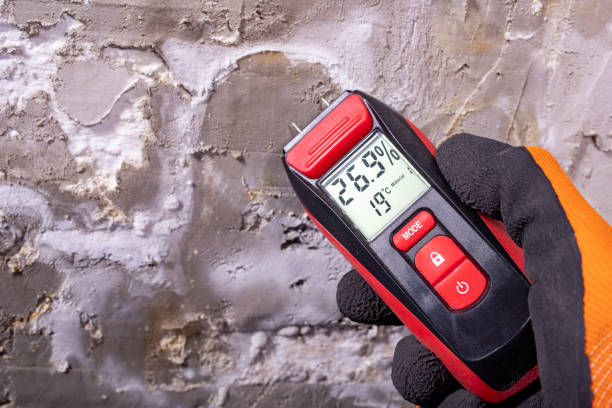 Best Emergency Mold Remediation in Southmont, NC